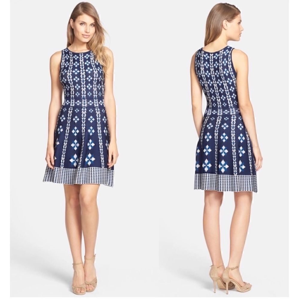 Cynthia Steffe Carmela Floral Fit & Flare Sweater Dress, Size Small